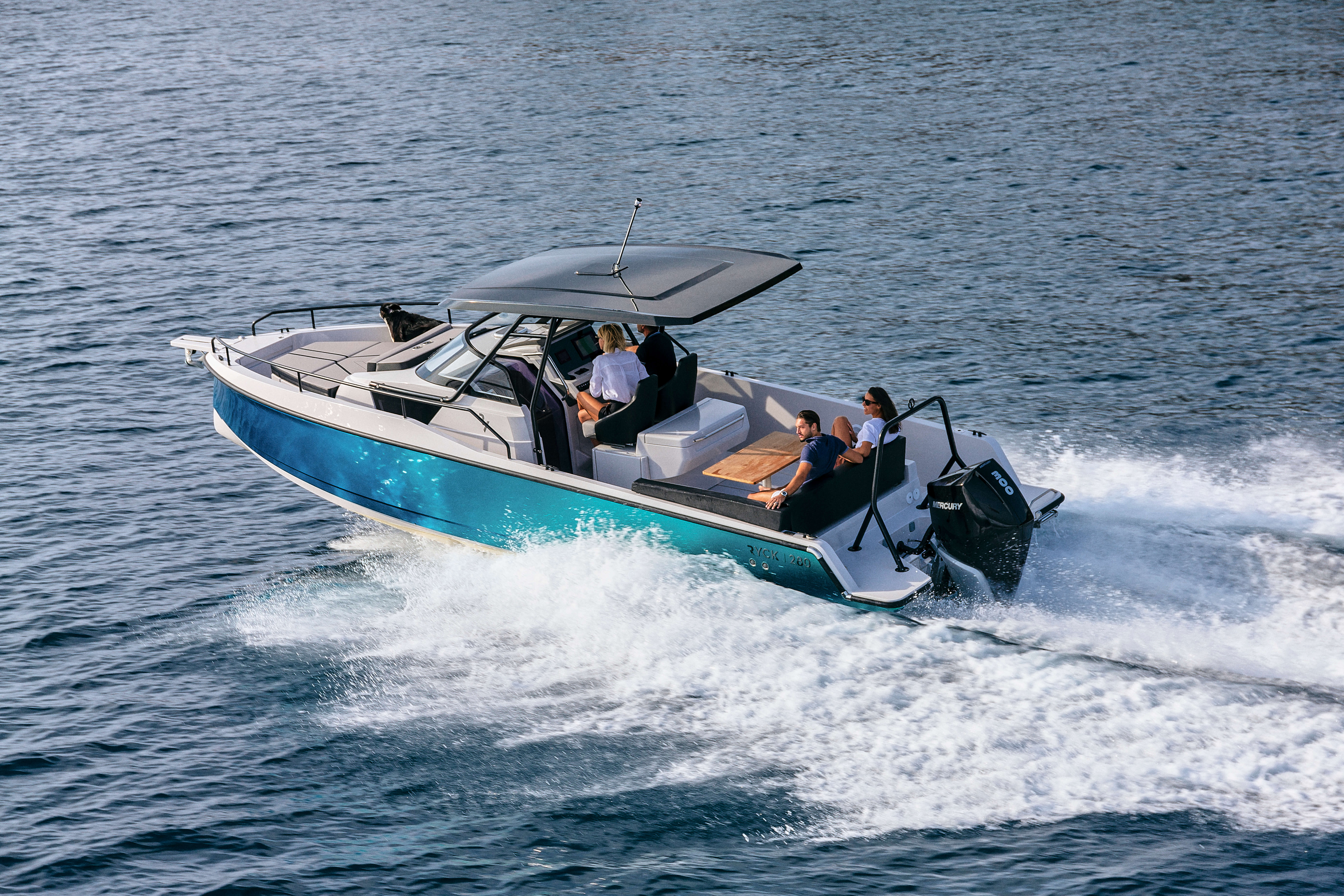 Bateau à moteur avec T-Top